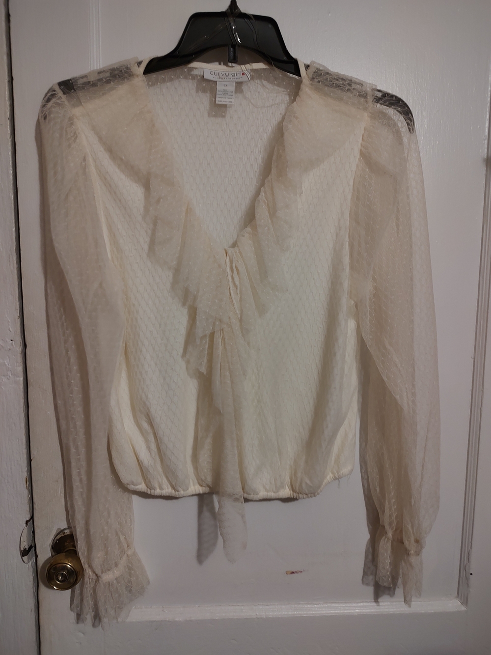 Curvey Girl❤️  Cream Sheer Ruffle V-Neck Blouse